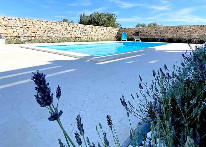 Neva * ヴォディツェ